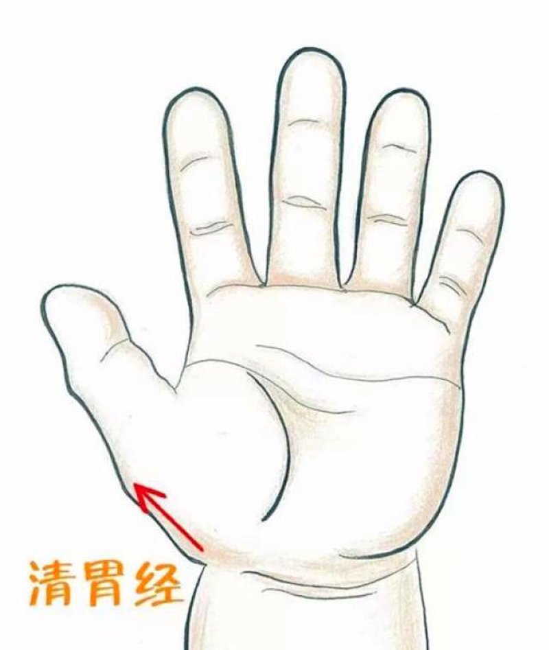 在众多儿童调理肠胃的产品中，选择一款合适的益生菌至关重要。今天我们就来聊聊哪些品牌的益生菌更受家长青睐。